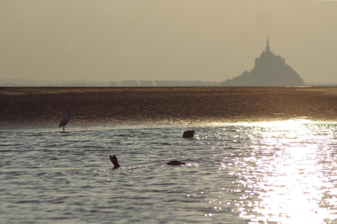 Charmante Maison De Pecheur En Baie Du Mont Saint Michel
